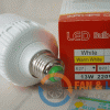 Den LED Bulb 13W Tru Tron004