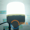 Den LED Bulb 36W Tru Tron017