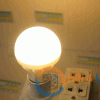 Den LED Bulb 9W Nhua014
