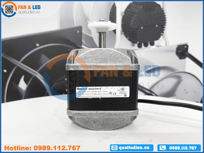 Motor EBMPAPST M4Q045-EF01-01, 230VAC dùng cho tủ đông